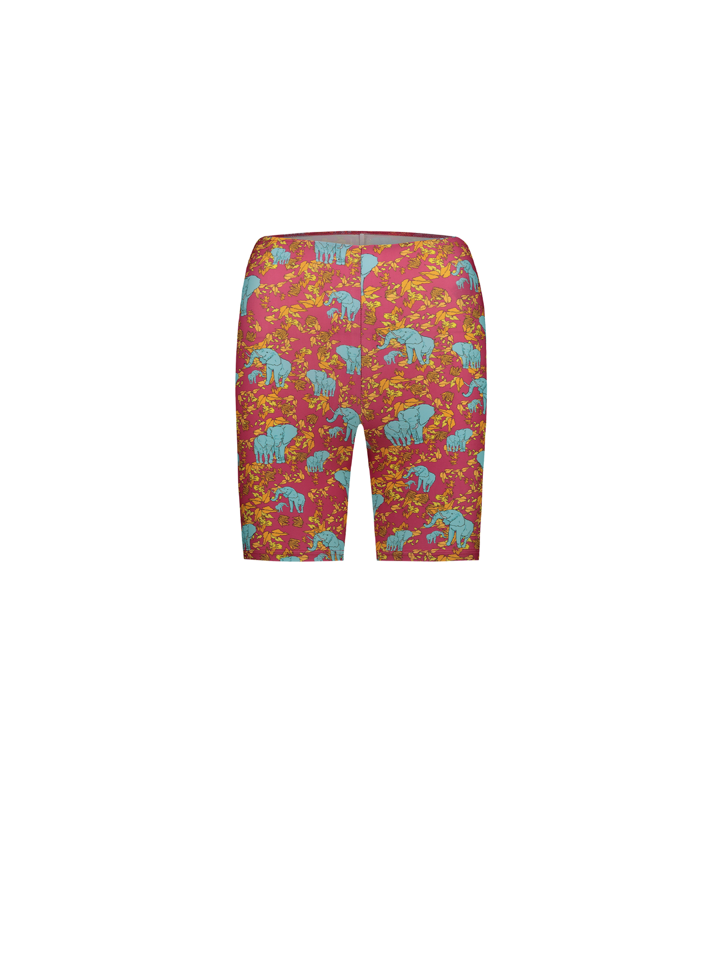 SANDY BIKERS - ELEPHANT