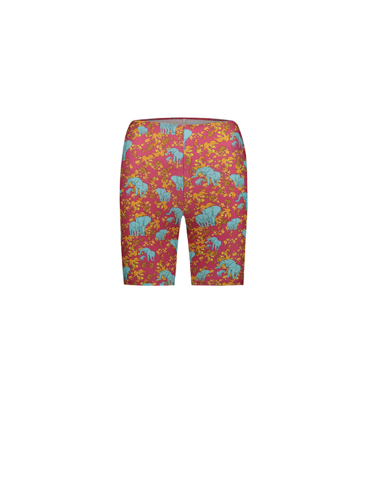 SANDY BIKERS - ELEPHANT